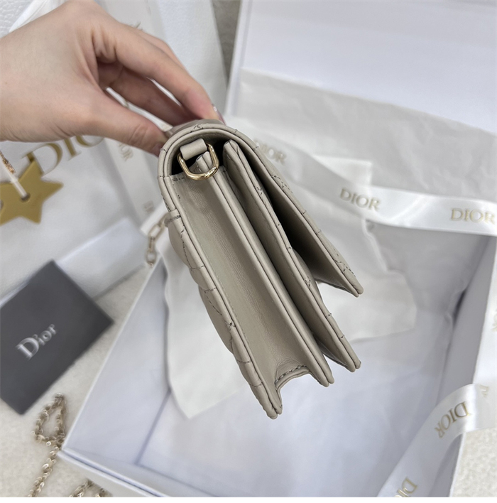 디올 미스 디올 미니 체인백 브라우니쉬 그레이 까나쥬