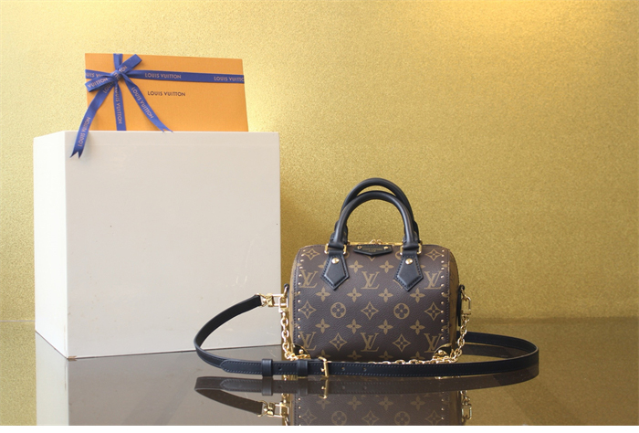 루이비통 스피디 트렁크 20 모노그램 M13146