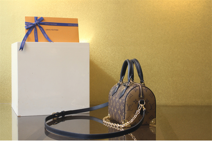 루이비통 스피디 트렁크 20 모노그램 M13146