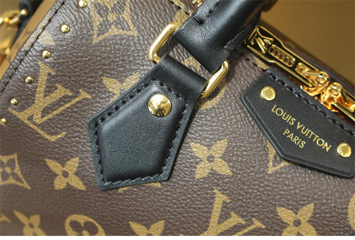 루이비통 스피디 트렁크 20 모노그램 M13146