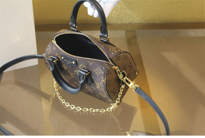 루이비통 스피디 트렁크 20 모노그램 M13146