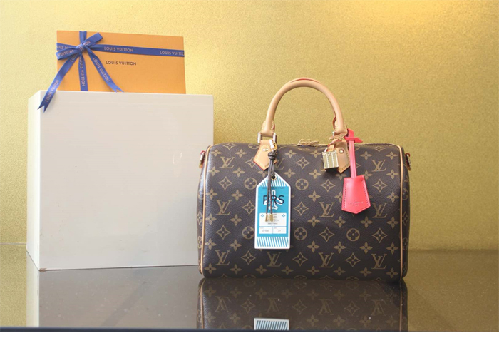 루이비통 스피디 소프트 30 크래프티 모노그램 M11945