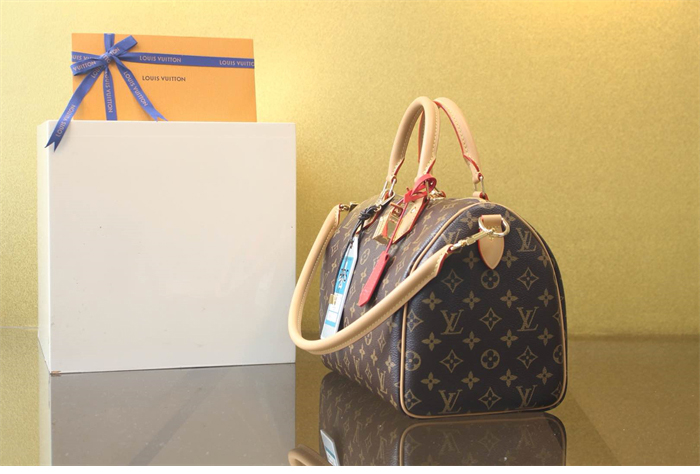 루이비통 스피디 소프트 30 크래프티 모노그램 M11945