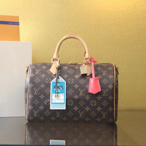 루이비통 스피디 소프트 30 크래프티 모노그램 M11945