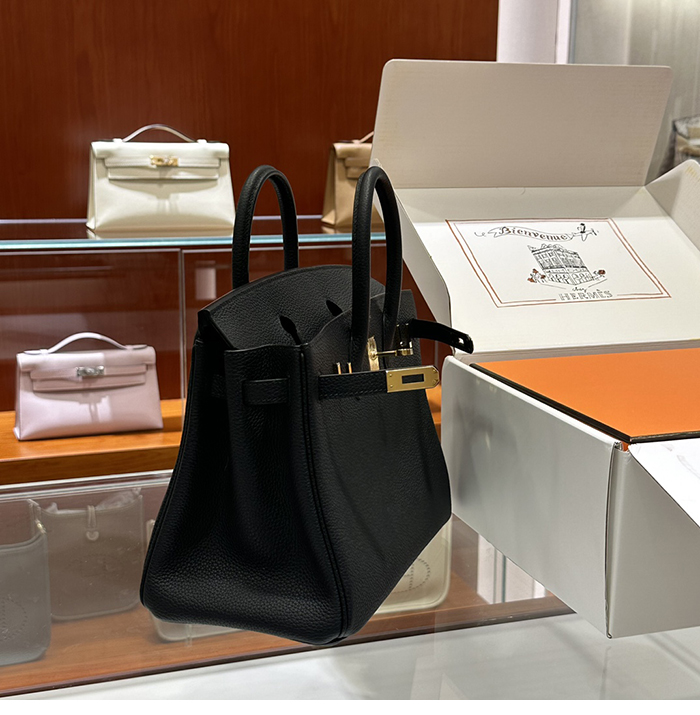 에르메스 버킨백 25 토고 금장