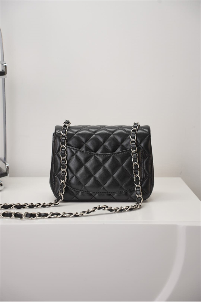 샤넬 클래식 플랩 은장