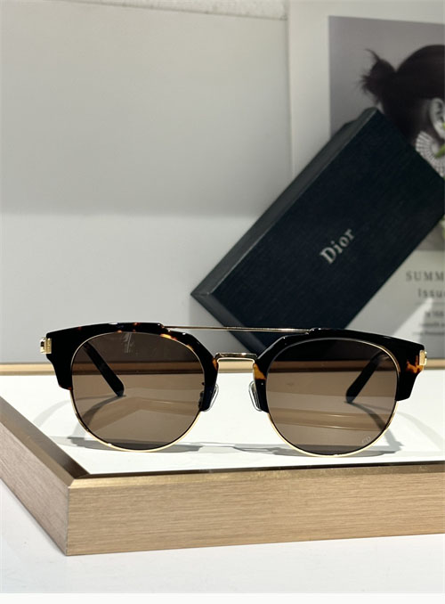 디올 CDICON R1U 선글라스