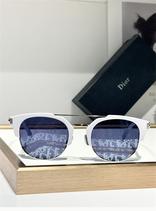 디올 CDICON R1U 선글라스
