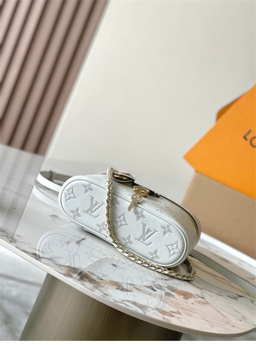 루이비통 베니티 체인 파우치 M11298