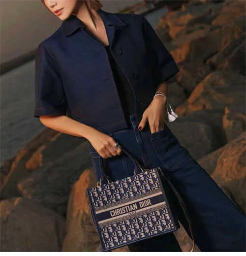 디올 북 토트백 스몰 오블리크 블루