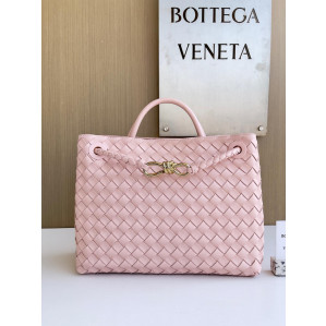 Bottega Veneta Andiamo Medium